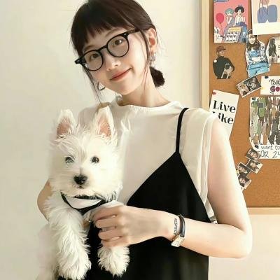 蚁哥正传